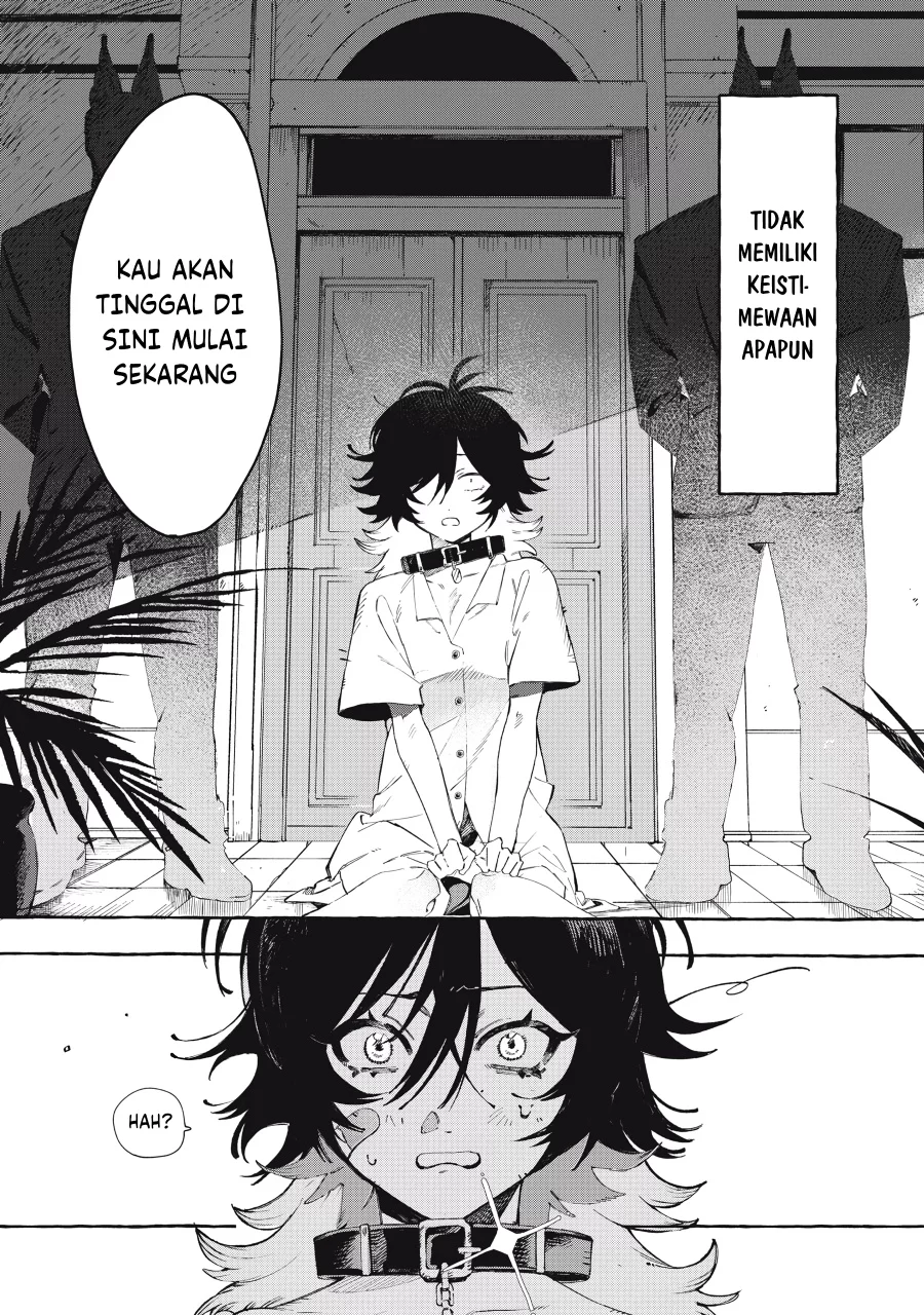 Baca Manga DOG MATIC Chapter 1 Gambar 2