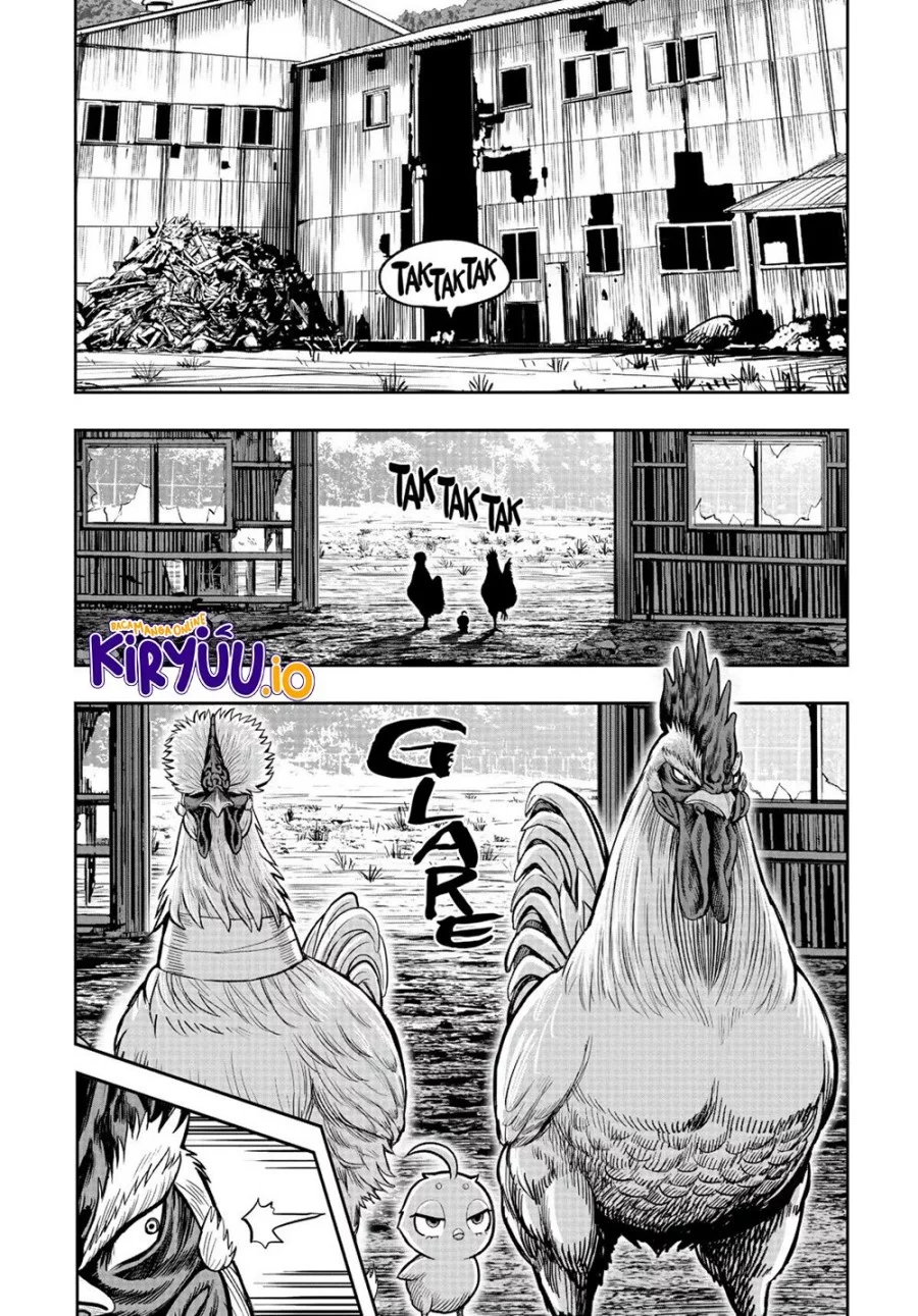 Baca Manga Rooster Fighter Chapter 22 Gambar 2