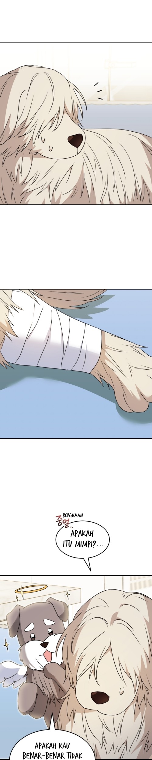 Hello? Veterinarian! Chapter 49 Gambar 8