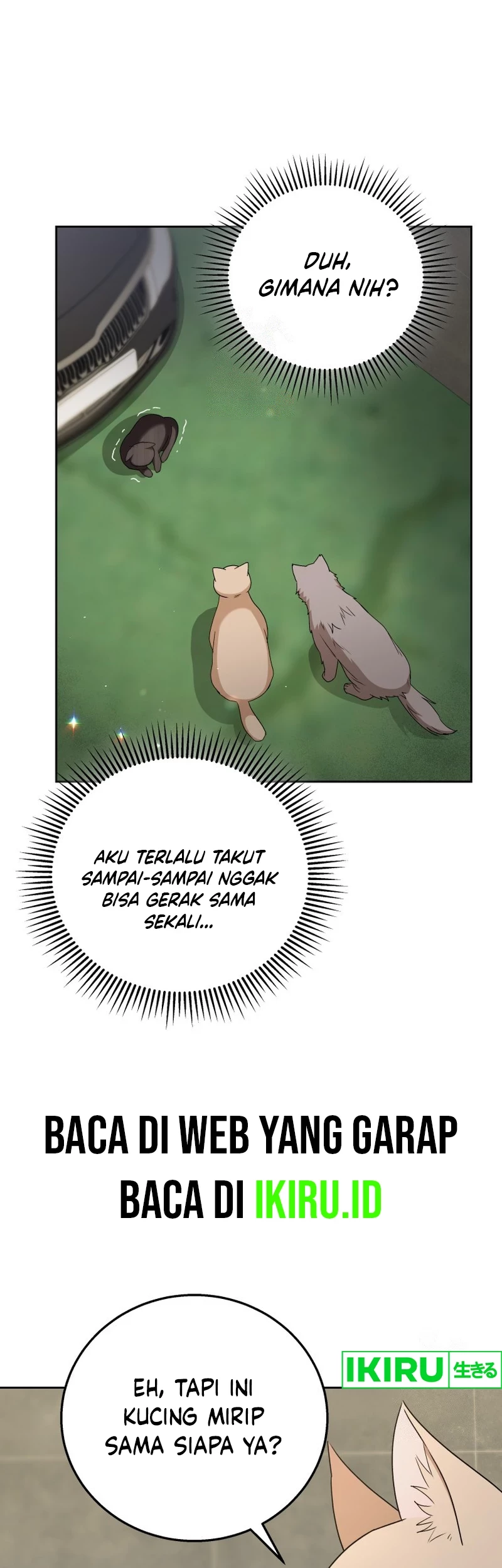 Baca Manhwa Hello? Veterinarian! Chapter 77 Gambar 2