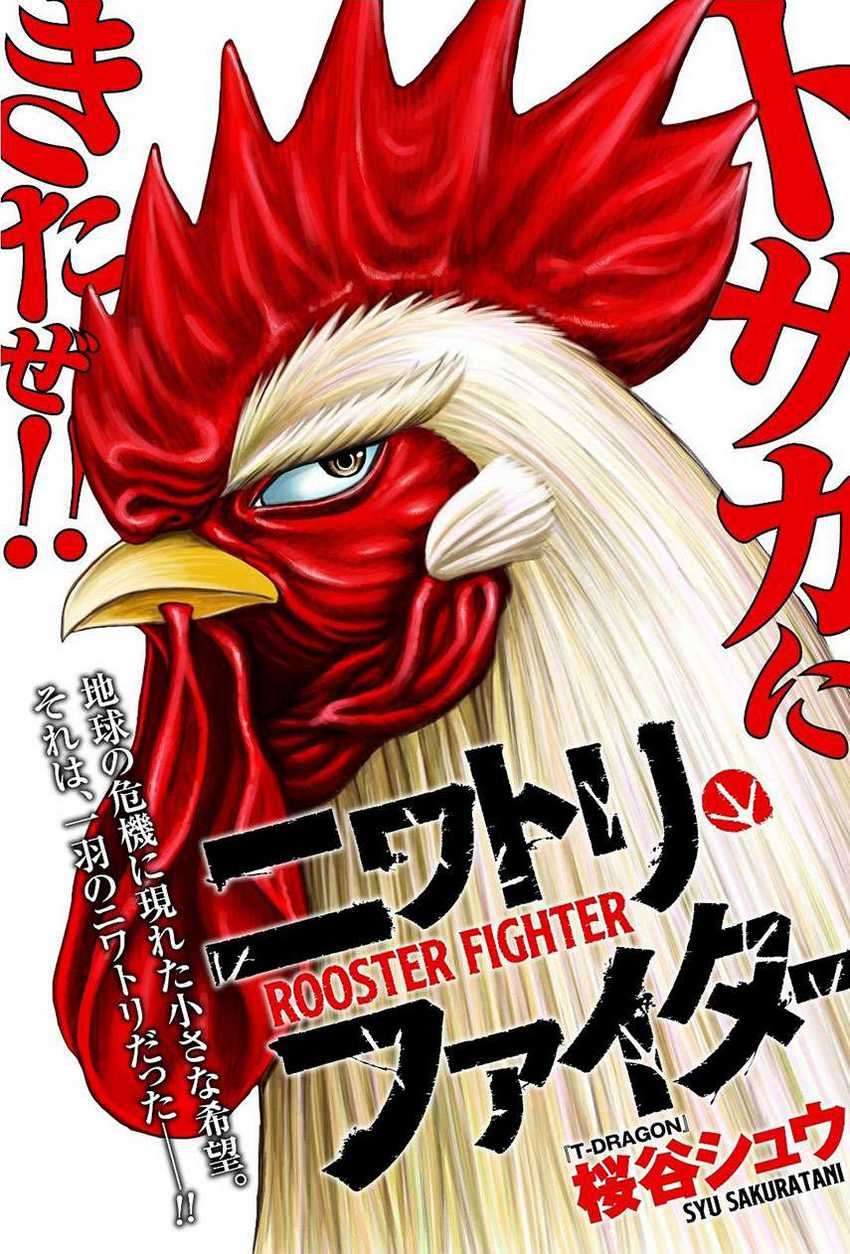 Komik Rooster Fighter - Chapter 06